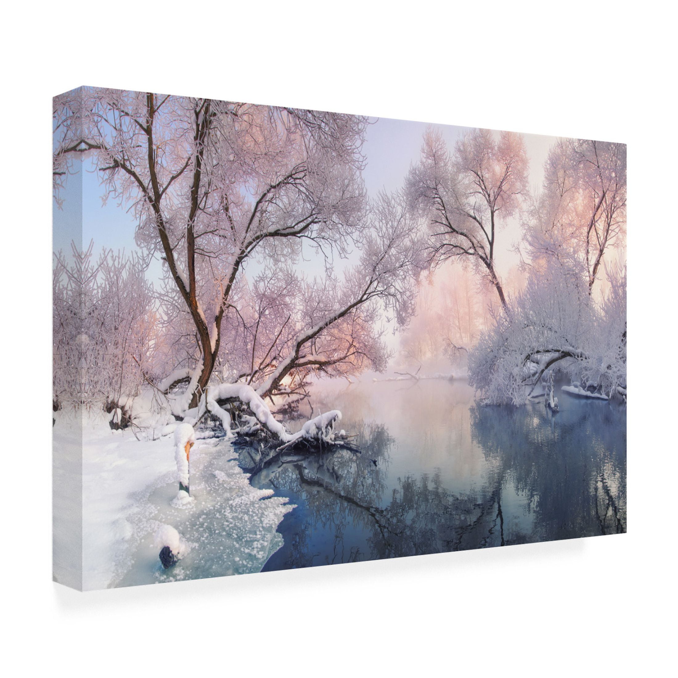 Canvas Wall Art - Vlad Sokolovsky 'Christmas Lace' Wall Art for Living Room, Bedroom, or Office Décor by Trademark Fine Art - 32 x 22 Inches