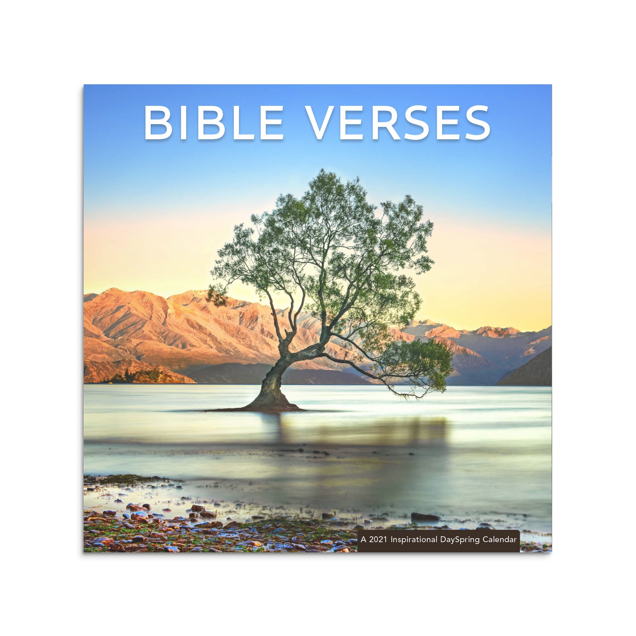 DaySpring, 2021 Inspirational Wall Calendar, Bible Verses, 697187561