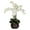 Multi-color, variant on Nearly Natural Phalaenopsis with Decorative Vase Artificial Flower Arrangement, Cream