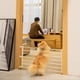 thumbnail image 5 of Naiovety Puerta retráctil para perros, escalable, para interiores, con puerta resistente y resistente, ideal para escaleras de bebé. Decoración del hogar Altura 24cm, 5 of 6