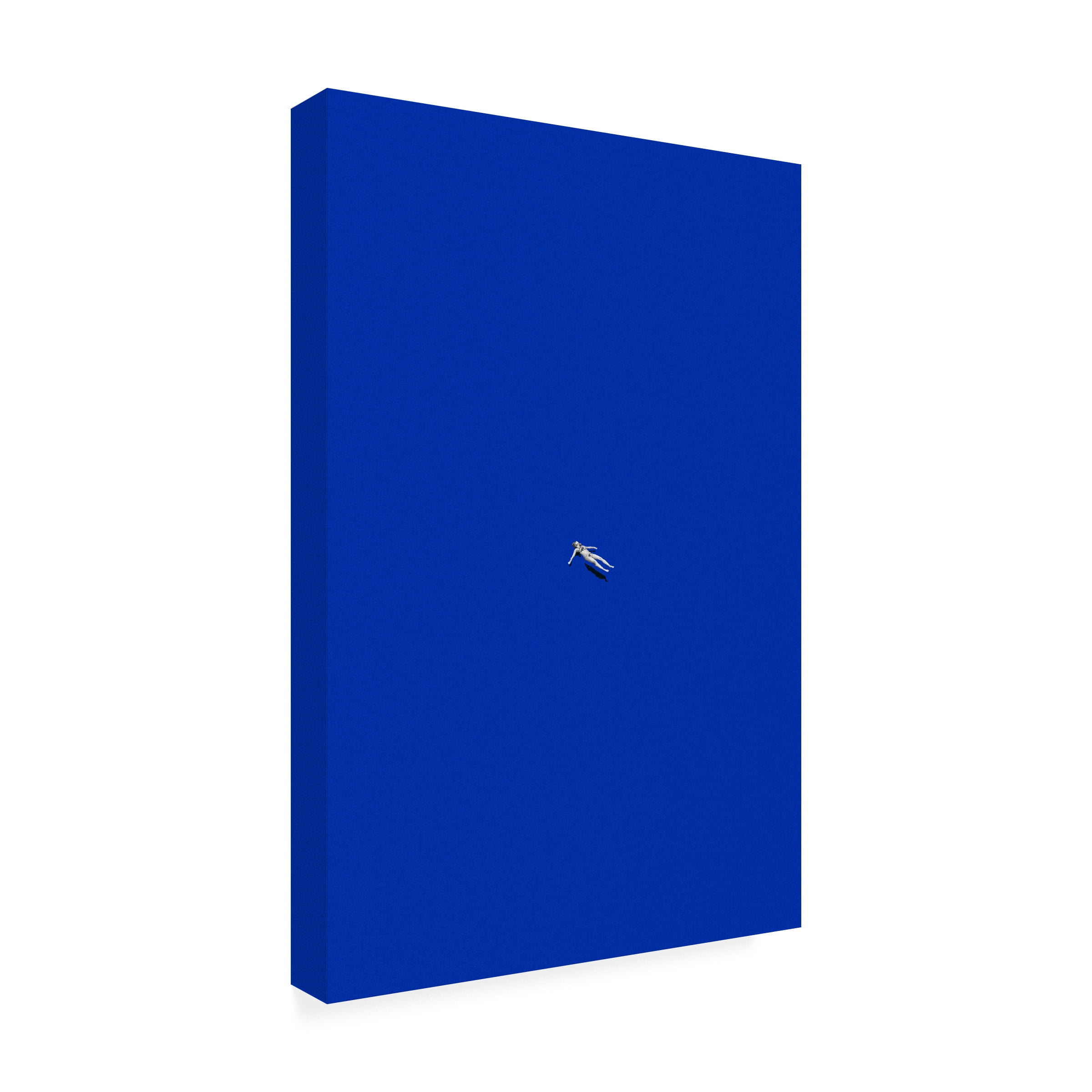 Trademark Fine Art Maarten Leon No Stress Canvas Wall Art