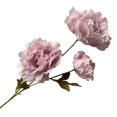 thumbnail image 1 of LCXmlly Clothes Storage Bag Simulation Peony 3 Heads Realistic Faux Silk Flower Photo Props, 1 of 6
