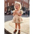 thumbnail image 4 of BemeyourBBs Baby Girls First Birthday Outfit 1st Birthday Party Dress Newborn Fairy Tulle Tutu Romper Dress Fly Sleeve Floral Embroidery Bodysuit Princess Party Cake Smash Dresses Headband, 4 of 9