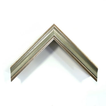 1 1/8" Readymade Wood Picture Frame (Plein Air Champagne Silver - Shadowbox)