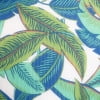 Green Tropical Palm