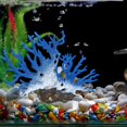 thumbnail image 4 of Acuario Decoraciones Accesorios Plantas Cueva Peces Casa - Pecera Decoración Árbol Peces Escondites, Plantas artificiales Adornos de resina azul Macarena Acuario de coral decorativo, 4 of 8