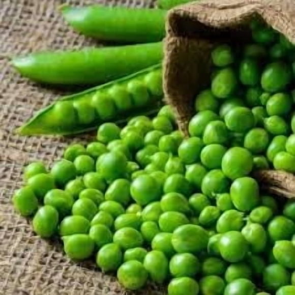 HIGHGW Green Arrow English Pea Seeds for Planting, 25 Gram Packet-100+ All Heirloom Seeds-Plant in Spring or Late Summer for Fall Harvest