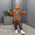 thumbnail image 2 of HCYSFG Cheetah Print Outfit Sets For Girls Leopard Print 2 Piece Tops Hooded Long Sleeve Butterfly Sweatshirt Jogger Pants Bottoms, 2 of 9