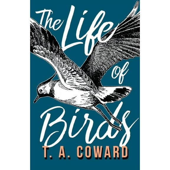 The Life of Birds, (Paperback)