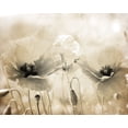 thumbnail image 2 of Kimberly, Allen 14x12 White Modern Wood Framed Museum Art Print Titled - Vintage Poppy 1, 2 of 4
