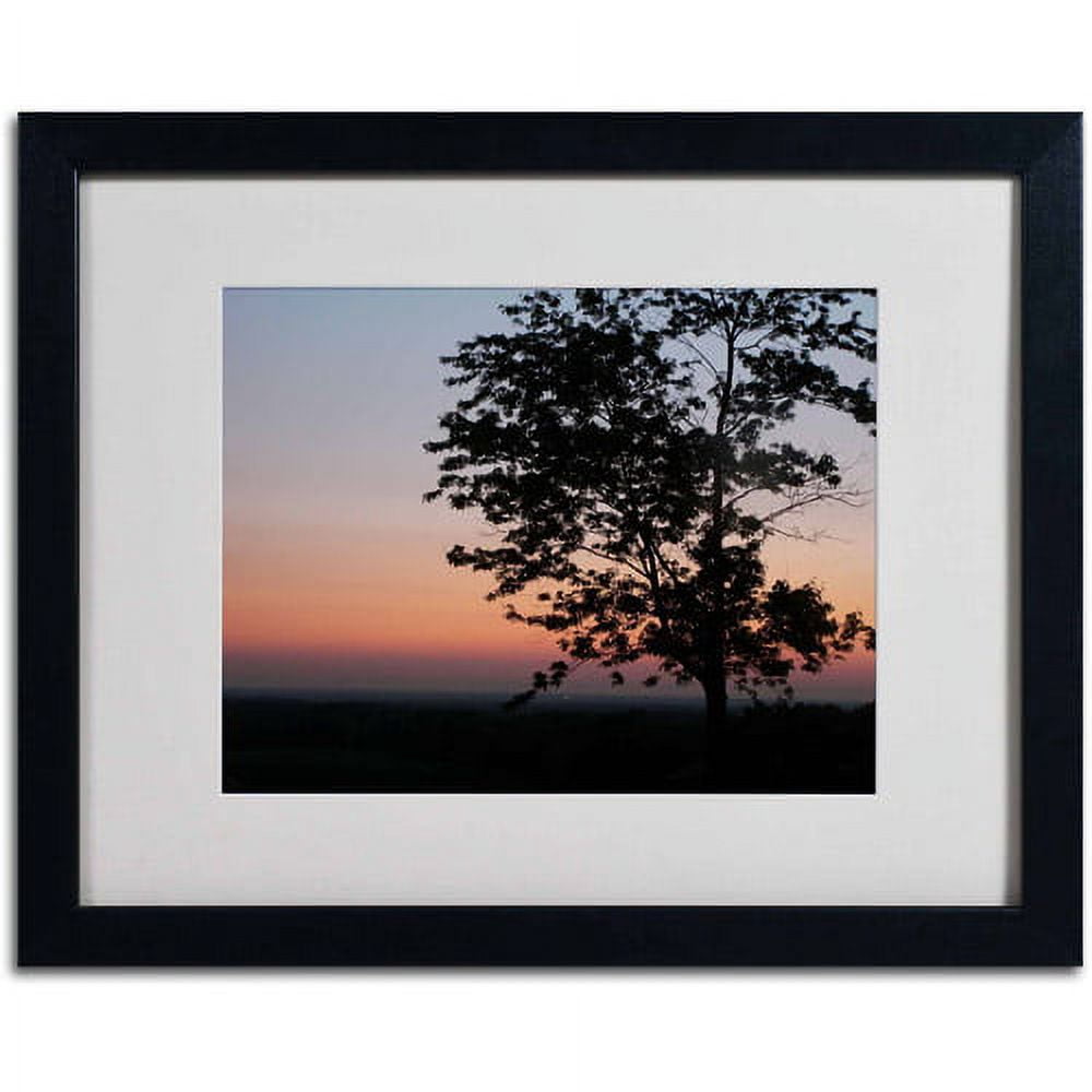Trademark Fine Art "Soothing Symmetry" Canvas Art by Monica Fleet, White Matte, Black Frame