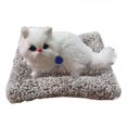 thumbnail image 6 of Sound Emitting Cat Companion for Car and Desktop DÃ©cor â Indoor Outdoor Toy for Kids 3 Plus Christmas Celebration, 6 of 6