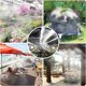 thumbnail image 4 of Nebulizador para exteriores, nebulizador para patio de 8M con nebulizador de 8 boquillas, 4 of 5