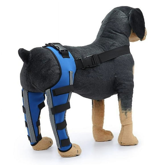 Double Back Leg Protection Dog Knee Brace For Acl Knee Brace Dislocation Arthritis Keep Joint Warm Extra Support Blue (m)
