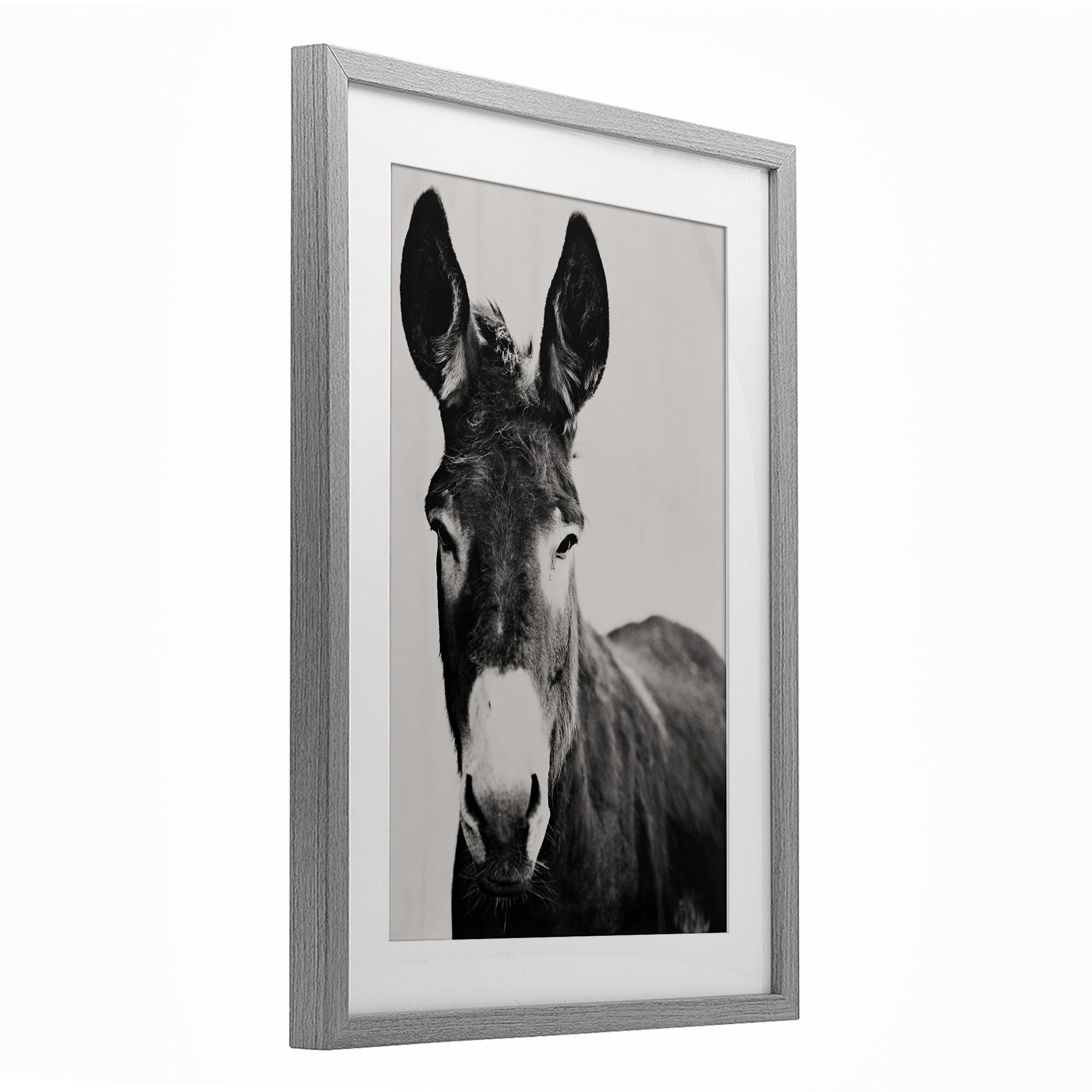 Stupell Industries Franz the Donkey Portrait Gray Framed Print Under Glass, design by Amy Carroll
