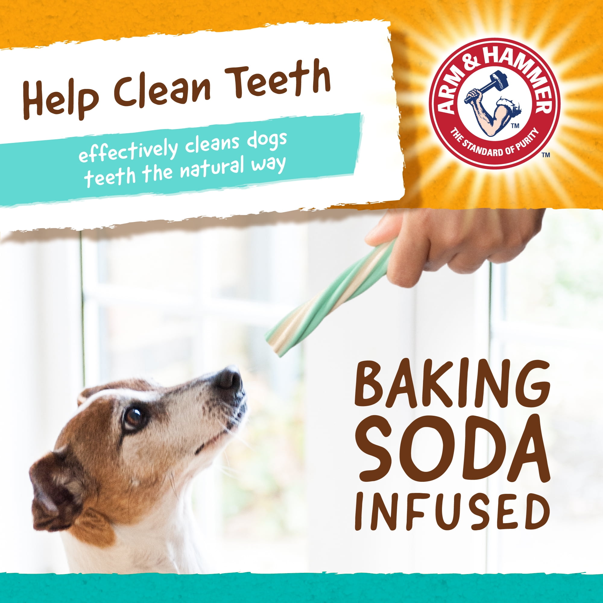 How Do You Clean A Dogs Teeth With Baking Soda