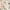 White, variant on INSPIRE CHIC Floral Mock Neck Dress for Women's Long Sleeve Elastic Waist Chiffon Midi Dresses