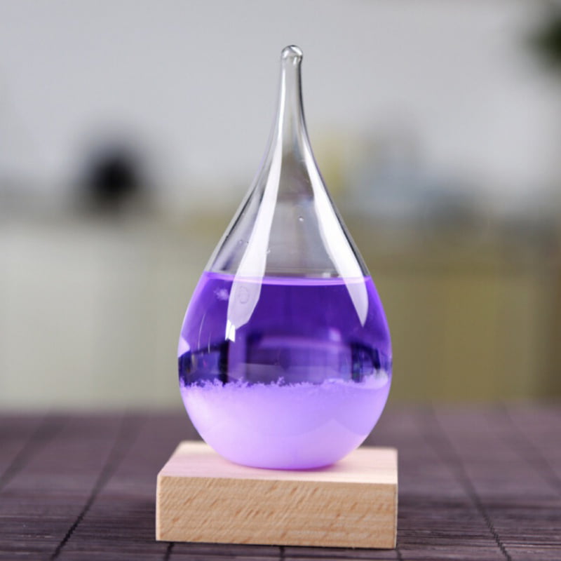 Mini Creative Weather Forecast Glass Crystal Bird Shape Storm Bottle Decor 