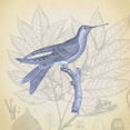 thumbnail image 2 of James, Christopher 15x15 White Modern Wood Framed Museum Art Print Titled - Hummingbird Study 1, 2 of 4
