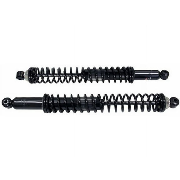 Rear Shock Absorber and Coil Spring Assembly - Compatible with 2009 - 2014 Ford F-150 2010 2011 2012 2013