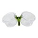 thumbnail image 5 of Comederos para Pájaros, Comederos Y Bebederos para Pájaros, Comederos Dobles con Clip, Comederos Pequeños Transparentes para Periquitos Y Loros., 5 of 9