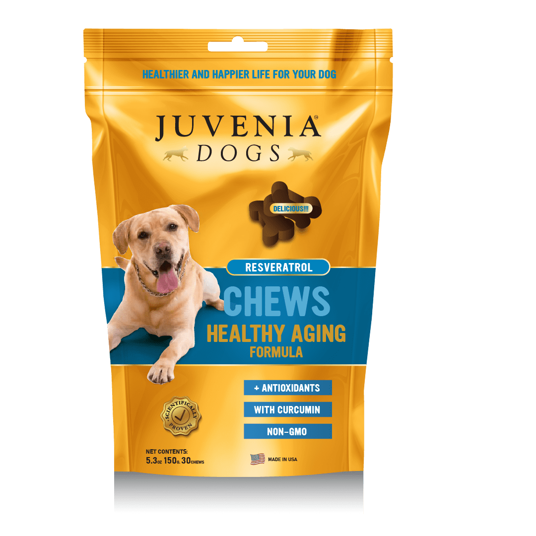 Juvenia Dogs Chews 3in1 Antioxidant Booster Resveratrol, Curcumin