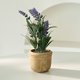 thumbnail image 4 of Bonsái artificial | Arreglo floral y de lavanda artificial | Decoración para el hogar y la oficina: ideal para la sala de estar, la entrada o estanterías | Vegetación artificial en jarrón moderno, 4 of 6
