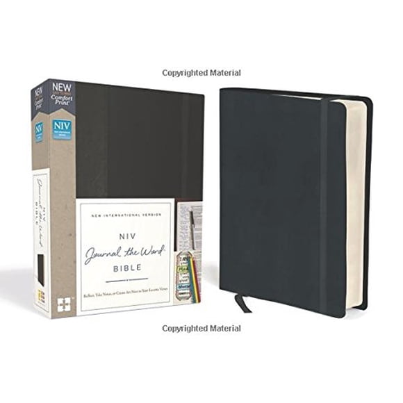 NIV Journal the Word Bible (Black)