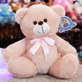 thumbnail image 2 of PELUCHERIA - Oso de Peluche 25 cm Everbear, Suave y Resistente, Ideal para Regalo (Rosa Claro), 2 of 5