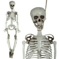 thumbnail image 5 of 90cm Realistic Halloween Skeleton Decoration with Movable Joints Full Body Party Prop for Scary Event, 5 of 9