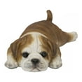 thumbnail image 2 of BULLDOG Aimant de Réfrigérateur, 2 of 5