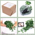 thumbnail image 5 of Hanging Artificial Potted Plants - Small Faux Indoor Outdoor Greenery, 5 of 6