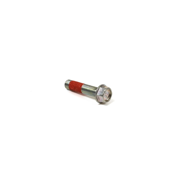 Briggs & Stratton Screw | 594761