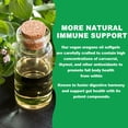 thumbnail image 5 of Oil of Oregano Capsules - Support Immune Function, Digestion & Gut Health, Antioxidant - for Men and Women - 120 Count, 5 of 8