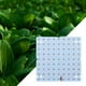 thumbnail image 5 of Panel de luz LED de cultivo impermeable de 50 W para plantas de interior y semillas de invernadero. Morado y Rosa 81 Leds, 5 of 7