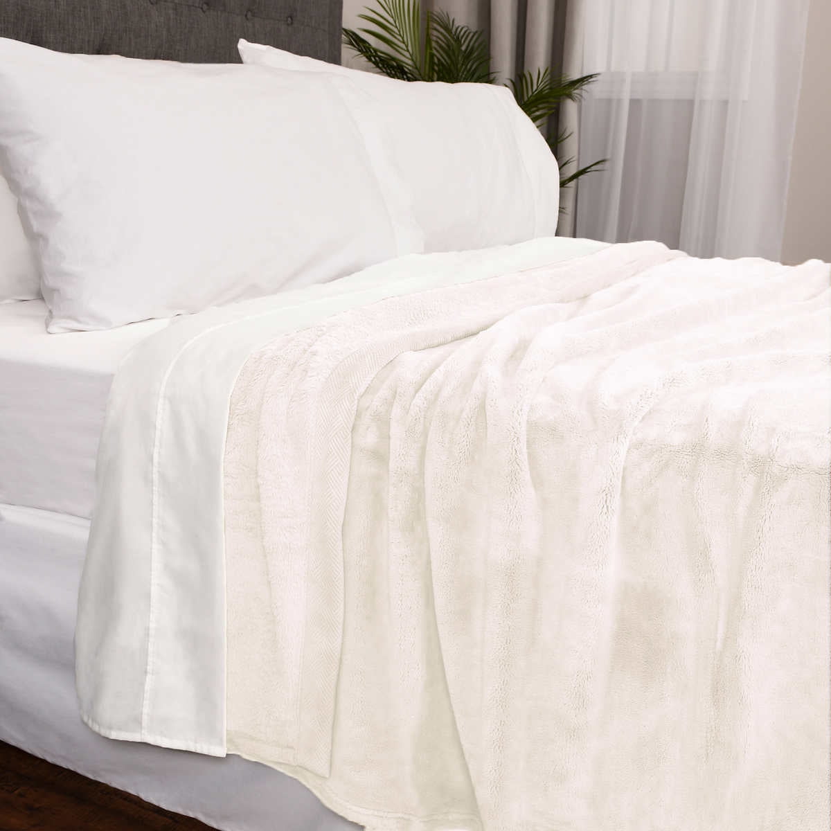Kirkland signature king size plush blanket hot sale