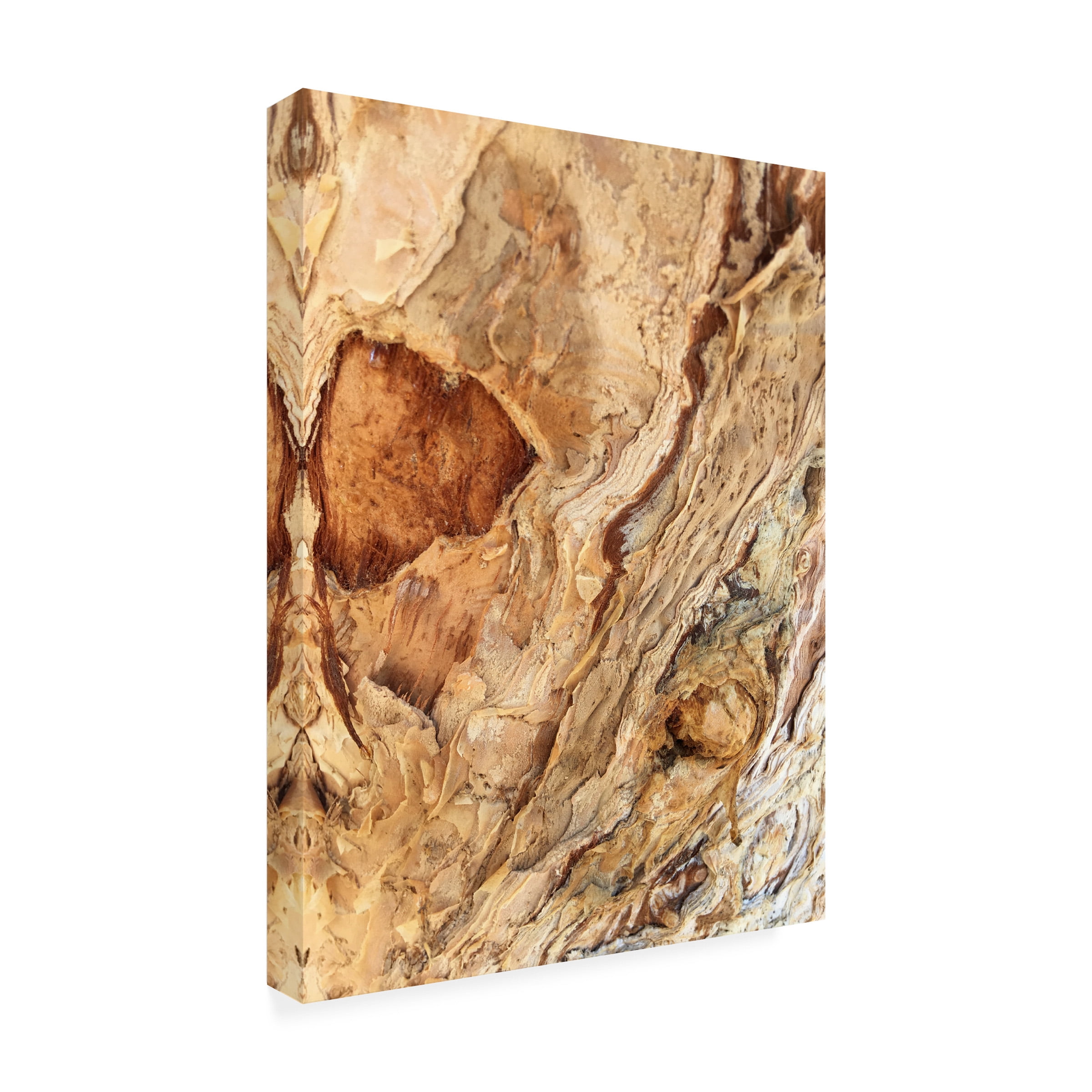 Norm Stelfox 'Tree Texture Triptych II' Canvas Art