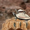 thumbnail image 3 of Turtle Resin Model Turtle Cage Snake Habitat House Climbing Platform Turtle Cave, 3 of 9
