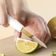 thumbnail image 4 of Cuchillo de Fruta Portátil para Uso Doméstico, para Exteriores, Pelador, Rallador, 3 En 1, Cuchillo Auxiliar para Cortar Fruta, de Acero Inoxidable., 4 of 6