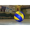 Laminated Poster Volleyball Ball Sports Sport Ball Volley Poster Print 24 x 36