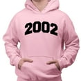 thumbnail image 2 of 2002 College Style Hoodie Sweatshirt Unisex Medium Pink, 2 of 5