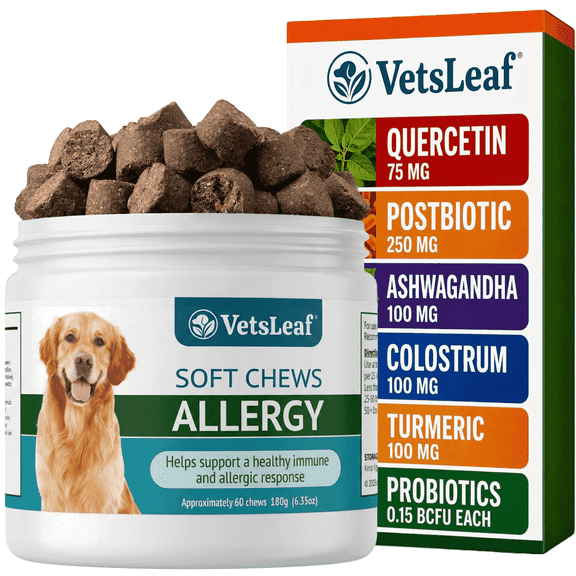 VetsLeaf Dog Allergy Chews for Itchy Skin, Hot Spots, Paw Licking Relief & Itchy Ears – Quercetin, Turmeric, Probiotics & Colostrum – Made in USA – 60 Count