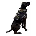 thumbnail image 1 of Pechera Y Collar K9 Con Nombre Colores Variados, 1 of 8
