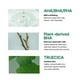 thumbnail image 3 of Almohadillas de tóner SOME BY MI AHA BHA PHA 30 Days Miracle Truecica, 3 of 7