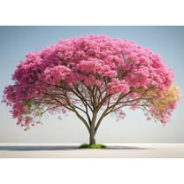 10 Pink Shower Tree Seeds for Planting - Cassia bakeriana