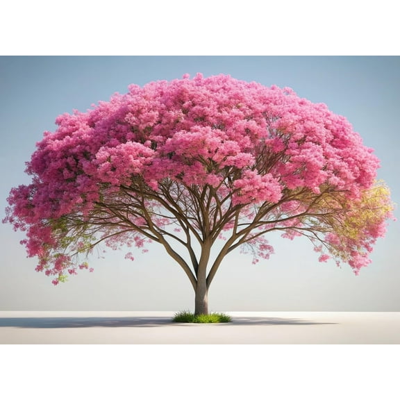 10 Pink Shower Tree Seeds for Planting - Cassia bakeriana