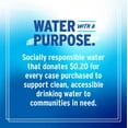 thumbnail image 6 of Talking Rain AQA SCH4&nbsp;Alkaline Ionized Bottled Water, 9.5 pH, with Electrolytes and Minerals Added for Taste, 20 fl oz Bottle (Pack of 12), 6 of 6