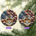 thumbnail image 2 of Patriotic Exotic Shorthair Stained Glass Portrait American Flag Ceramic Round Ornament Cat Lover Kitten Owner Gifts Home Tree Decor - 01010, 2 of 5