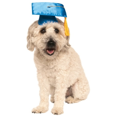 School Graduate Blue Pet Dog Cat Costume Graduation Hat