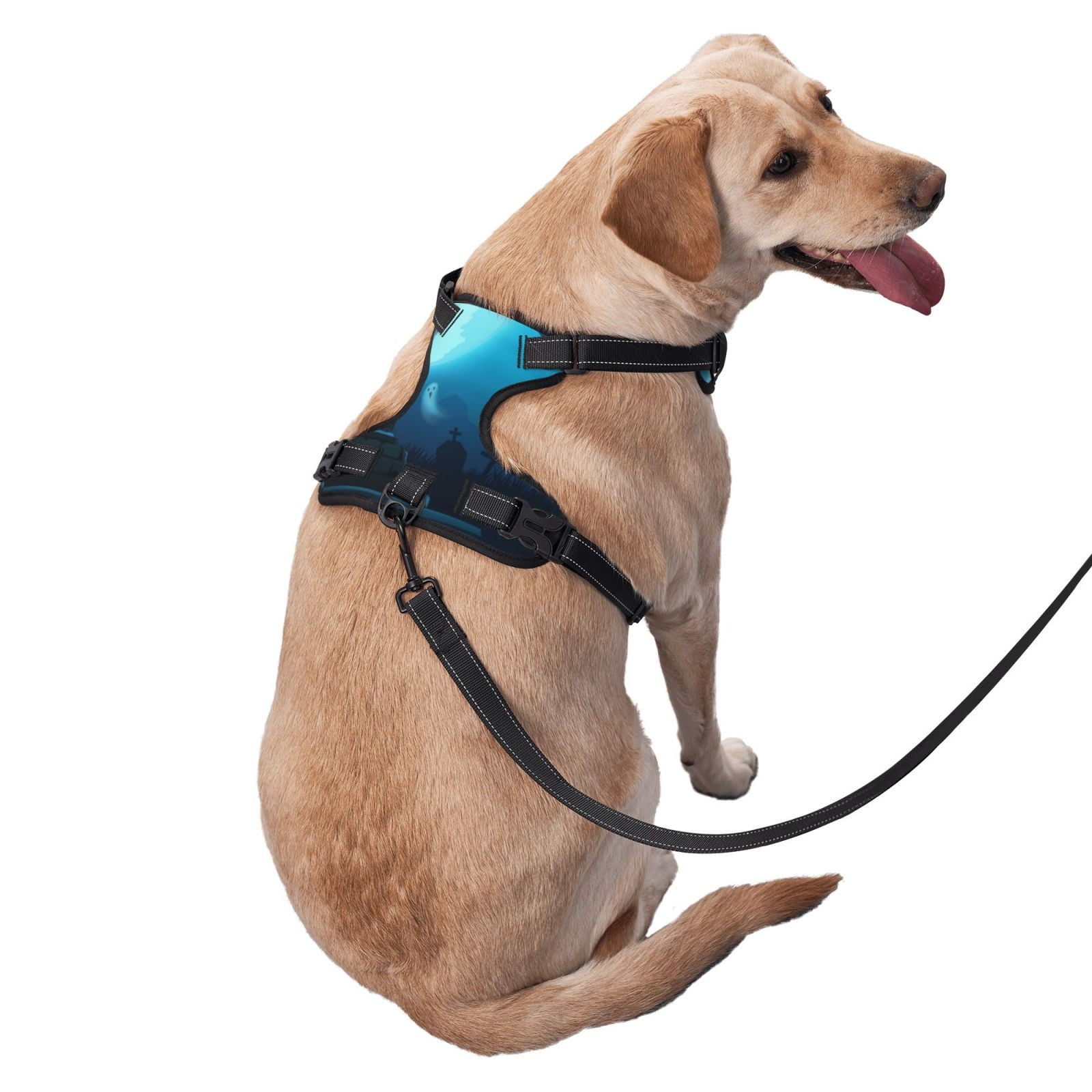 Vsdgher Happy Halloween-1 Dog Harness, No-Pull Pet Harness, Dog Vest, Pet Vest for Small to Large Dogs-X-Large